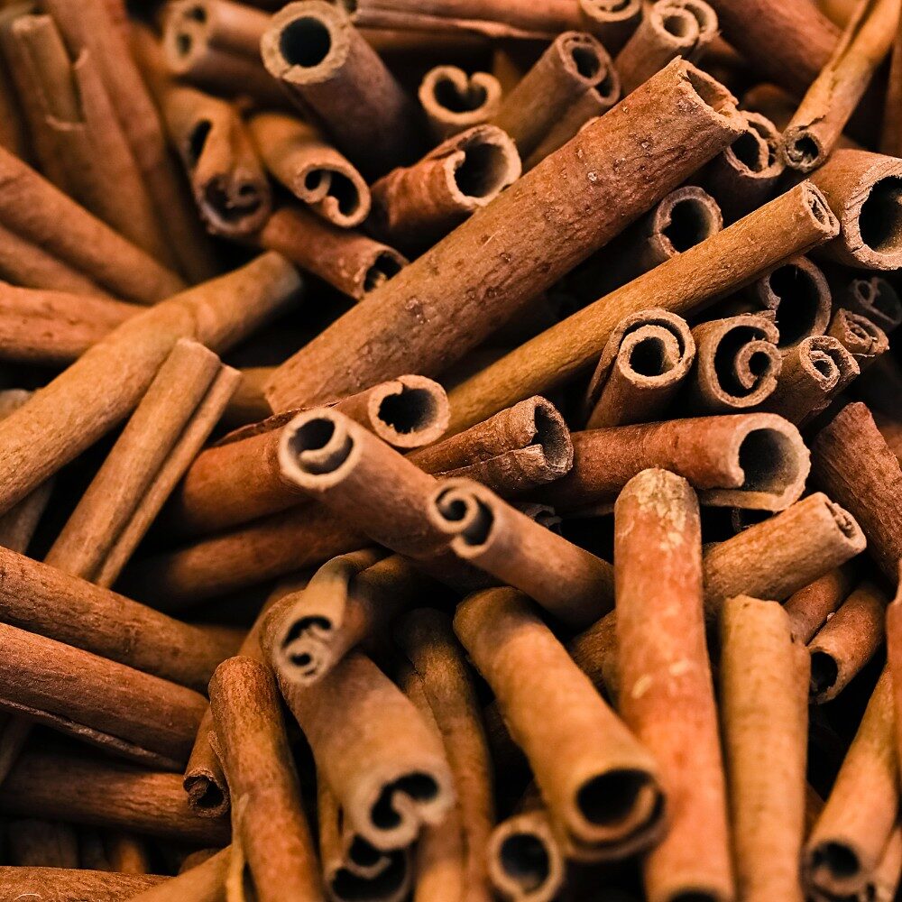 Ekstrakt z cynamonowca