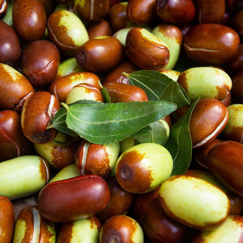 Olej jojoba